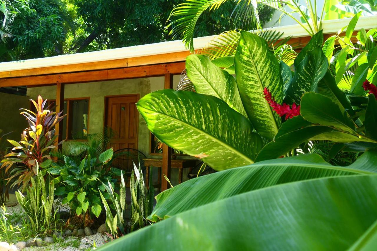 Cabinas Playa Surf Hostel Playa Santa Teresa  Exterior foto