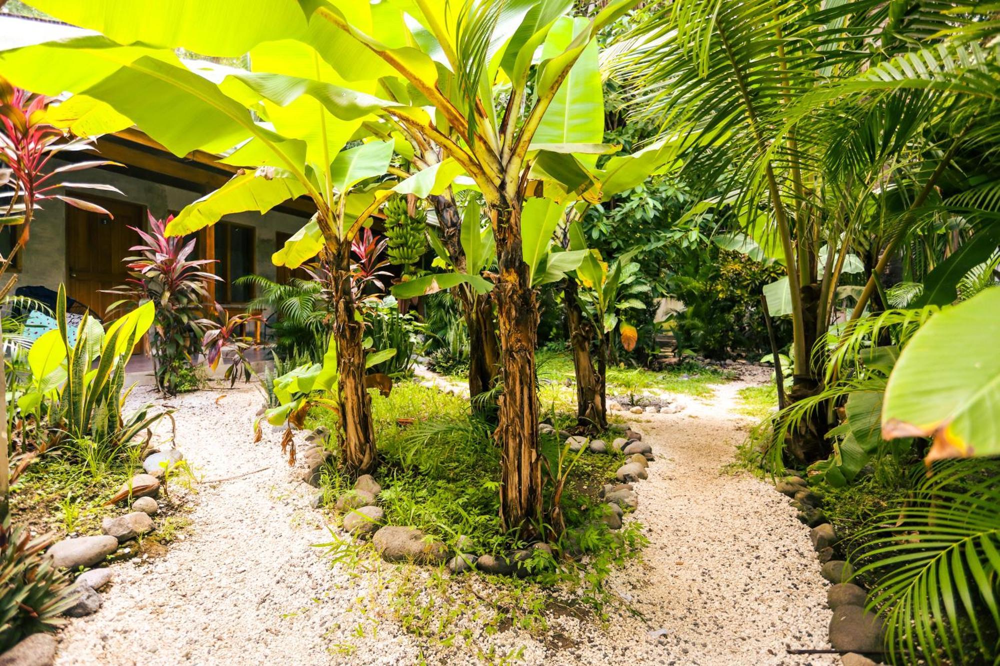 Cabinas Playa Surf Hostel Playa Santa Teresa  Exterior foto