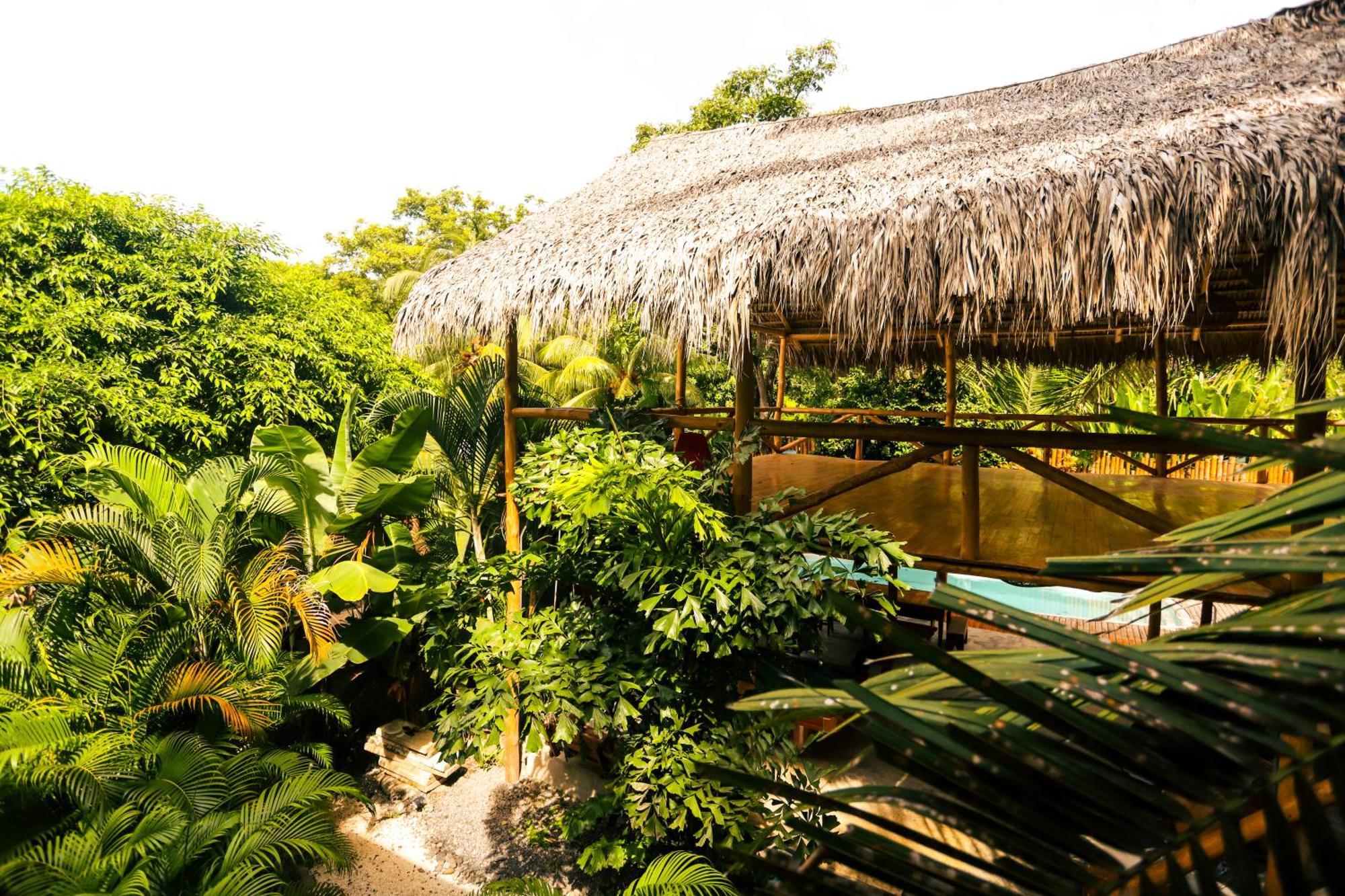 Cabinas Playa Surf Hostel Playa Santa Teresa  Exterior foto